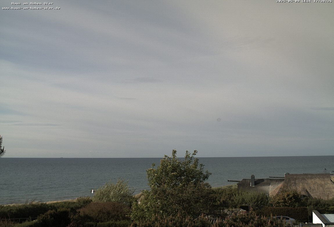 Camera Live Image